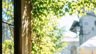 제철 과일 디저트 '파르페' 알아보기