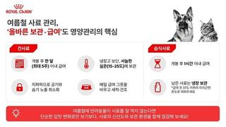 로얄캐닌, 여름철 반려동물 사료 보관법 안내