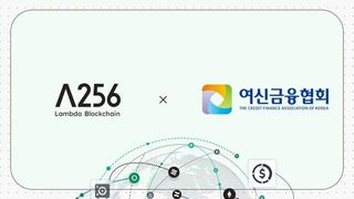 카드 9사, 스테이블코인 결제망 실험