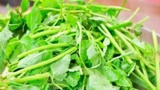 '2TV 생생정보' 미아동 47년 전통 아귀탕 맛집, 깊은 국물 맛으로 눈길