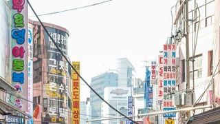[Traditional Market N] Namdaemun Market: Six Centuries of Trade, Survival and Reinvention