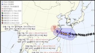 태풍 '돌핀' 영향 강풍·풍랑에 제주 긴장…야외행사 조정(종합)