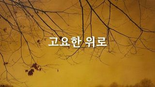 인사동 갤러리은, ‘먹의 선’과 ‘풍경의 기억’ 담은 이연주•김범휘 개인전 동시 개최