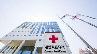[임신·출산 뉴스] 대한적십자사, 임신부 수혈 위한 희귀혈액 RhD(-), Jr(a-) 확보했다