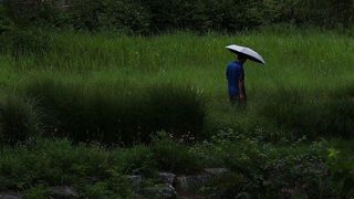 [내일날씨] 내일 전국 곳곳 소나기…낮 최고기온 35도