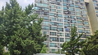 재건축 앞둔 집 전세 사는데…나가라면 나가야 할까[똑똑한부동산]