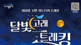 영덕 고래불·대진해수욕장서 펼쳐지는 '달빛고래트레킹' 야간 걷기