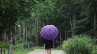[날씨] 남부지방 최대 60㎜ 소나기…돌풍·천둥·번개 주의