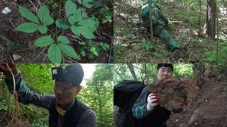 '극한직업' 깊은 산 속 심마니와 포장 이사 작업자의 여름