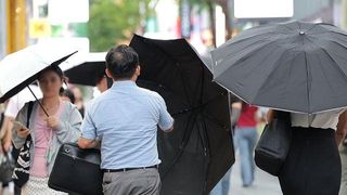 [날씨] 전국 곳곳 최대 60㎜ 소나기…낮 최고 36도 무더위도 계속