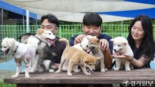 '세계 개의 날' 맞아 즐거운 오후를 보내고 있는 반려마루 화성 유기견들 [포토뉴스]