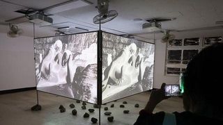 빈 교실·선박 창고에 미술의 파도가…막오른 부산비엔날레