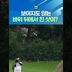 보이지도 않는 바위 뒤에서 친 샷이?