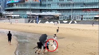 “목줄 하라니까요!” 무시하더니…대형견 질주에 견주도 ‘쩔쩔’