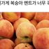 복숭아 가게의 멘트