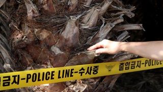 제주 실종 여성 가족에 29차례 연락… '14세 소년'이 보낸 충격적 내용