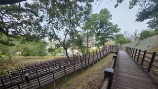 추석 연휴, 세종 원수산 둘레길 걸으며 가을 정취에 푹~
