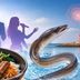 기장붕장어축제 16일 개막…나상도·황인아 공연