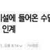 복지시설에 들어온 수달…야생동물구조센터 인계