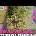 [2026 KPGA] 아슬아슬하게 주말에도 볼 수 있게 된 장유빈 주요장면_더 채리티 클래식 2R