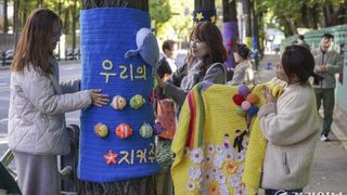 추워지는 날씨, 사람도, 나무도 따뜻하게 [포토뉴스]