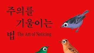 [NC신간] 하루 중 무엇을 제대로 알아차렸는가
