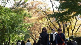 아침 최저 4도 '쌀쌀'…중부 새벽비·전국 곳곳 짙은 안개[오늘날씨]
